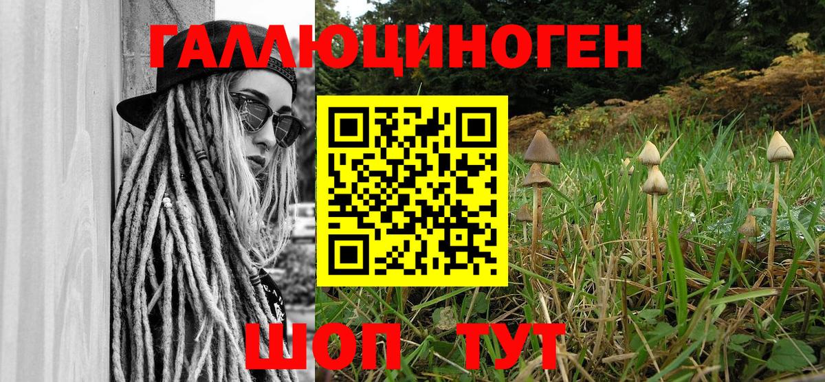 Псилоцибиновые грибы ЛСД Кореновск