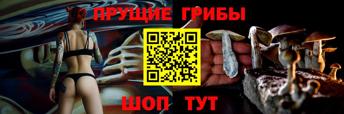 где купить наркоту  Вход с VPN  Псилоцибиновые грибы прущие грибы  Кореновск  Галлюциногенные грибы Cubensis 
